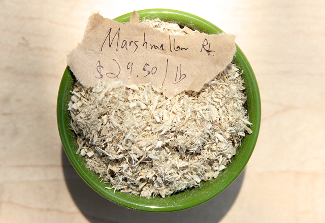 marshmallow root herb of the month