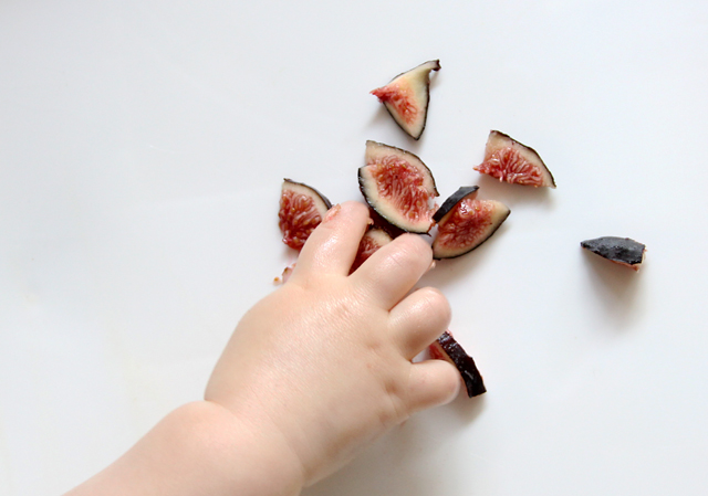 picky baby eating figs