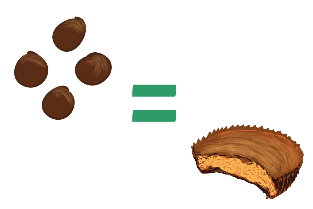 sugar in chocolate covered peanut butter balls compared to Reese's peanut butter cup
