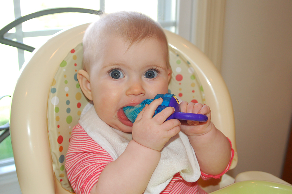 baby eating through mesh munchkin fresh food feeder