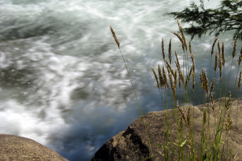 down by the river