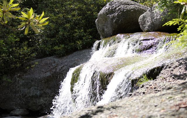 the falls waterfall Pennsylvania hike hope fear forgiveness trust