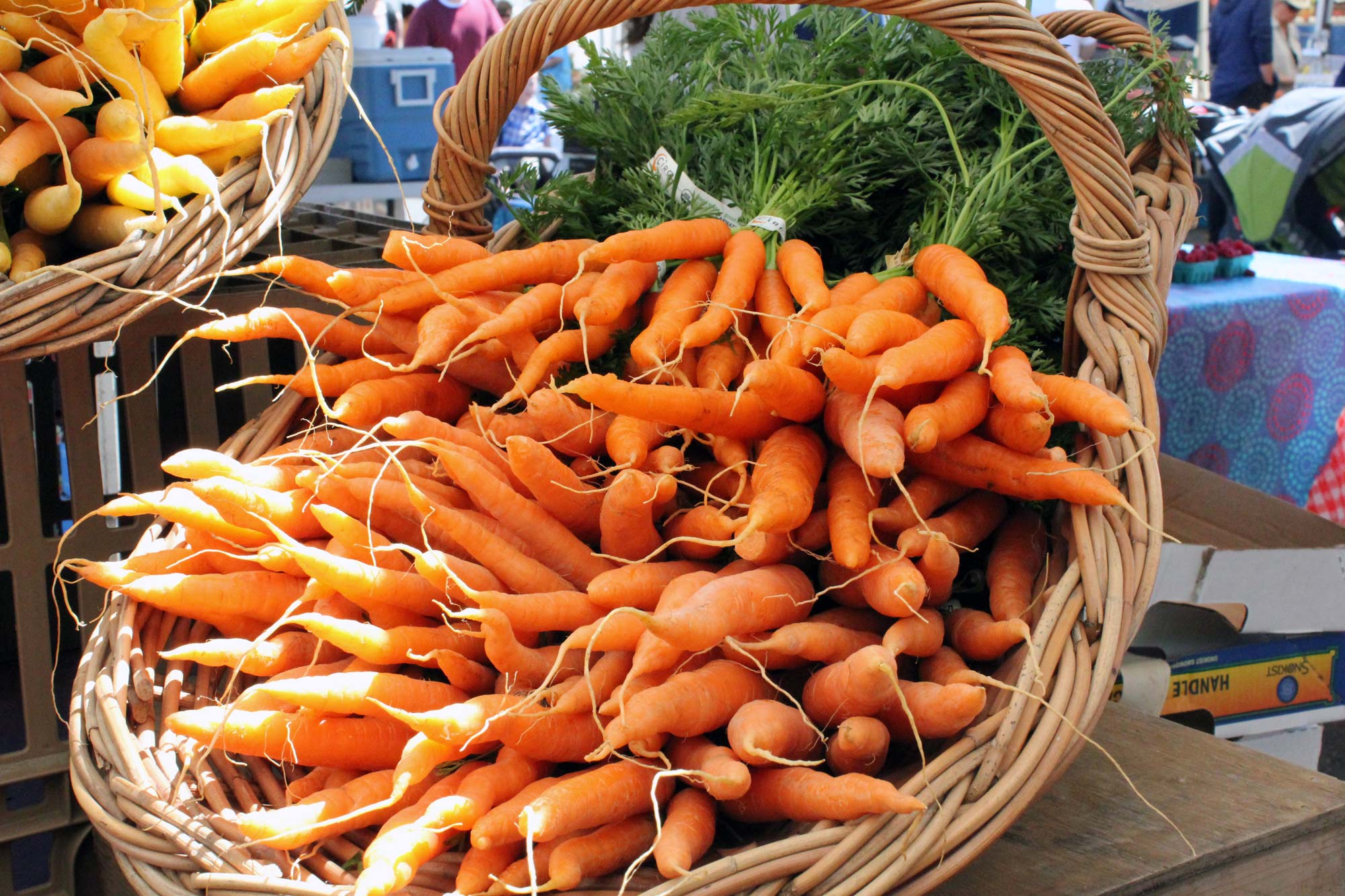 carrots at farmers market