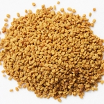 fenugreek trigonella foenum-graec