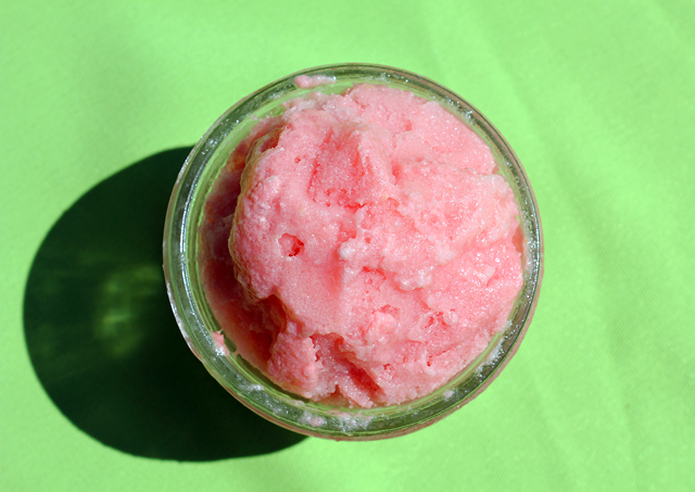 watermelon sherbet sorbet