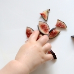 picky baby eating figs