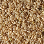 brown rice arsenic contamination