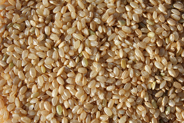 brown rice arsenic contamination