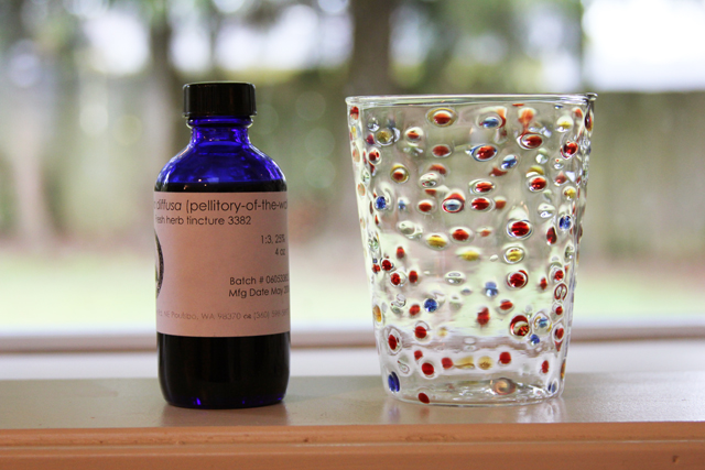 tincture anthropologie glass