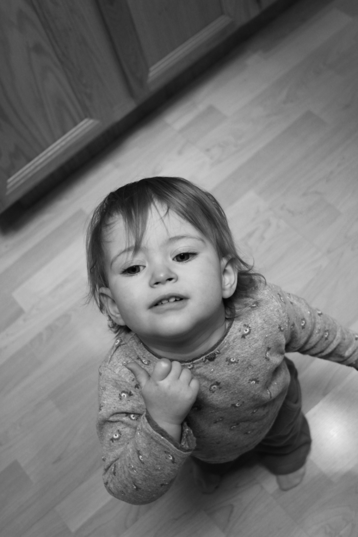 Licorice Root (Glycyrrhiza glabra) archerfriendly